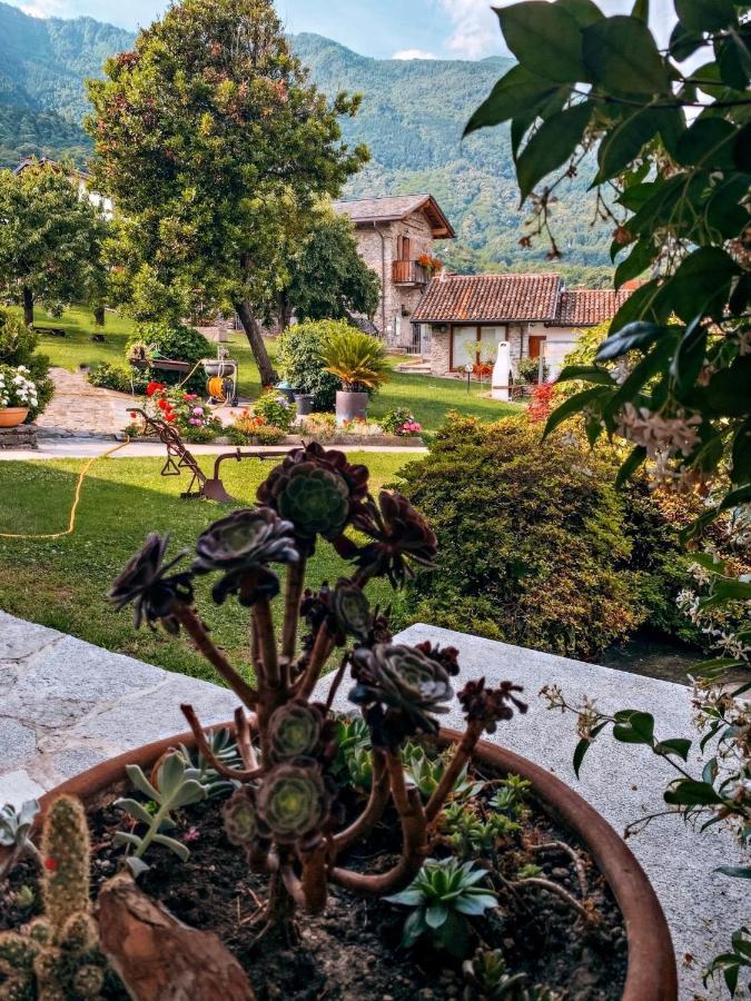 La Roggia - Lake Como Heritage Home In Molino Maufet Watermill - Patio On The Garden 科利科 外观 照片